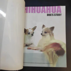 ชิวาวา Chihuahua - แพทย์หญิงจินตนา คงทวีกุล รูปที่ 8