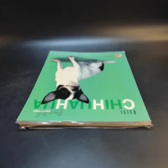 ชิวาวา Chihuahua - แพทย์หญิงจินตนา คงทวีกุล รูปที่ 6