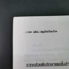 กล้วย - อภิสิทธิ์ วิริยานนท์ รูปที่ 18
