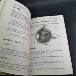 ทำอย่างไรจะปราศจากโรคและชะลอความชรา - เฉก ธนะสิริ รูปที่ 16