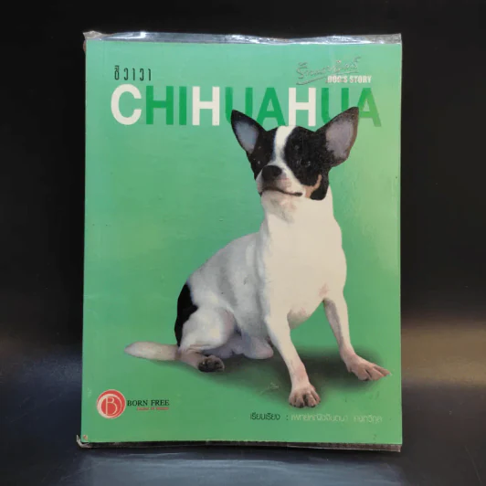 ชิวาวา Chihuahua - แพทย์หญิงจินตนา คงทวีกุล รูปที่ 1