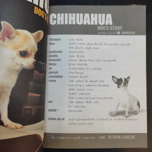 ชิวาวา Chihuahua - แพทย์หญิงจินตนา คงทวีกุล รูปที่ 9