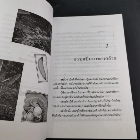 กล้วย - อภิสิทธิ์ วิริยานนท์ รูปที่ 14