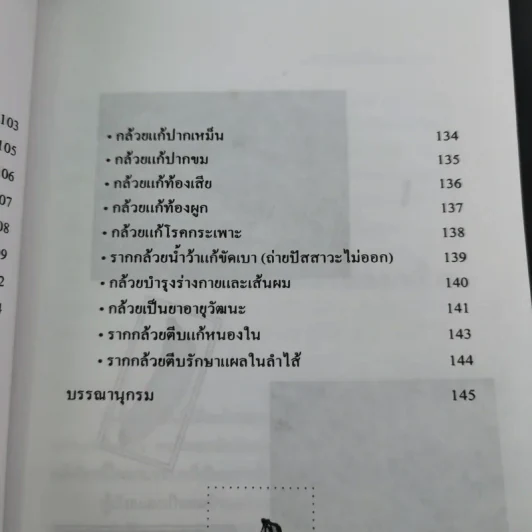 กล้วย - อภิสิทธิ์ วิริยานนท์ รูปที่ 13