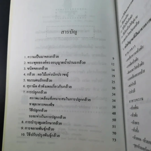 กล้วย - อภิสิทธิ์ วิริยานนท์ รูปที่ 10