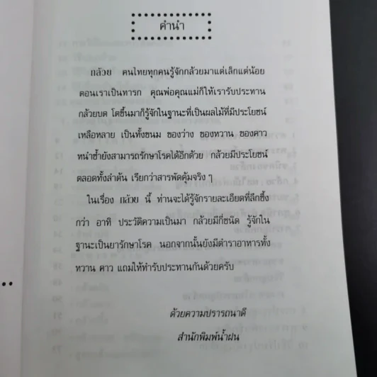 กล้วย - อภิสิทธิ์ วิริยานนท์ รูปที่ 9