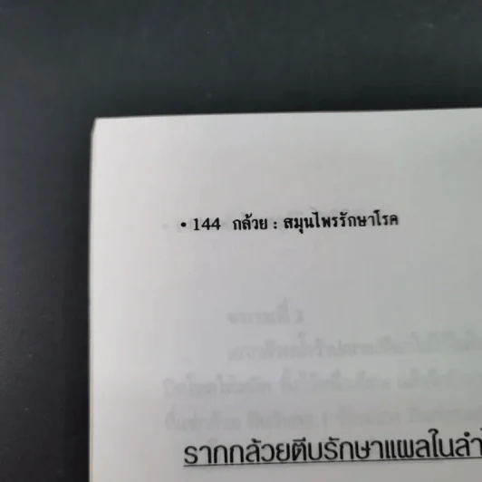 กล้วย - อภิสิทธิ์ วิริยานนท์ รูปที่ 18