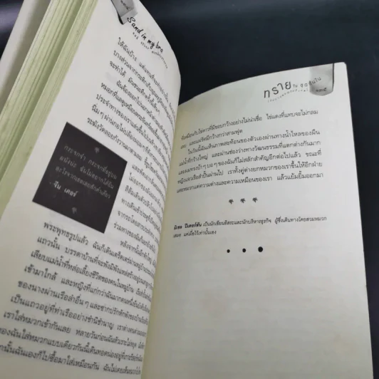 ทรายในชุดชั้นใน (กับการผจญภัยที่...) - เจนนิเฟอร์ แอล. ลีโอ รูปที่ 17