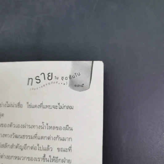 ทรายในชุดชั้นใน (กับการผจญภัยที่...) - เจนนิเฟอร์ แอล. ลีโอ รูปที่ 18