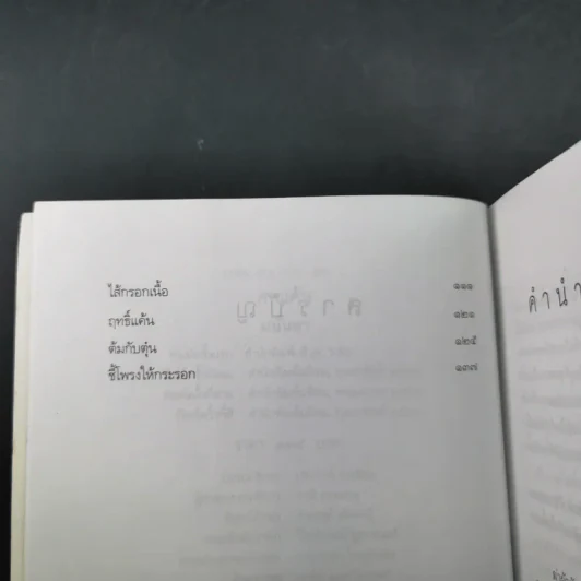 ศพแค้น - มนันยา แปล รูปที่ 10