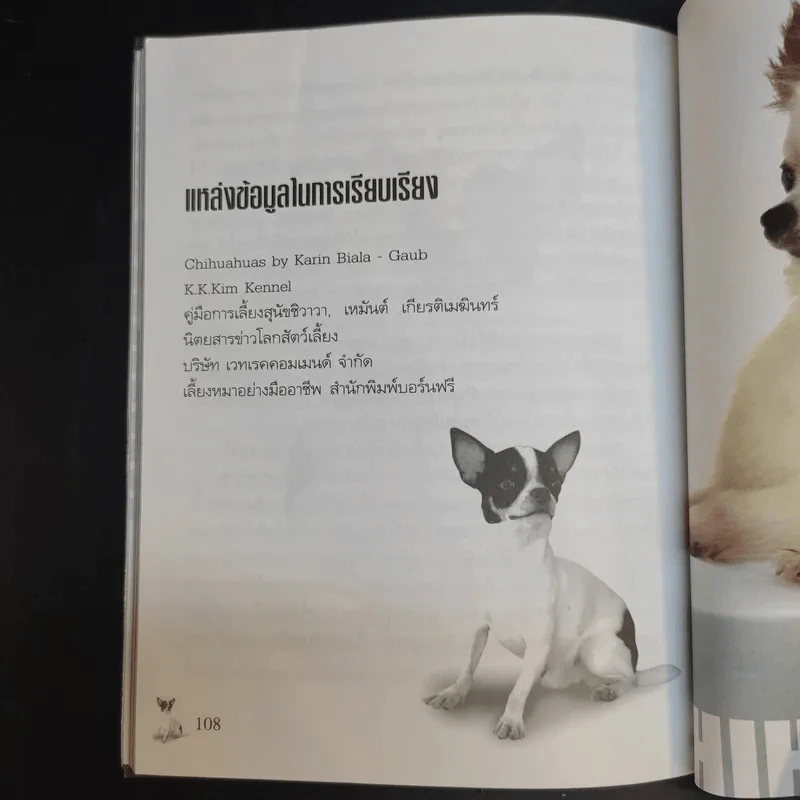ชิวาวา Chihuahua - แพทย์หญิงจินตนา คงทวีกุล รูปที่ 14