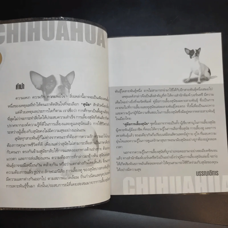 ชิวาวา Chihuahua - แพทย์หญิงจินตนา คงทวีกุล รูปที่ 10