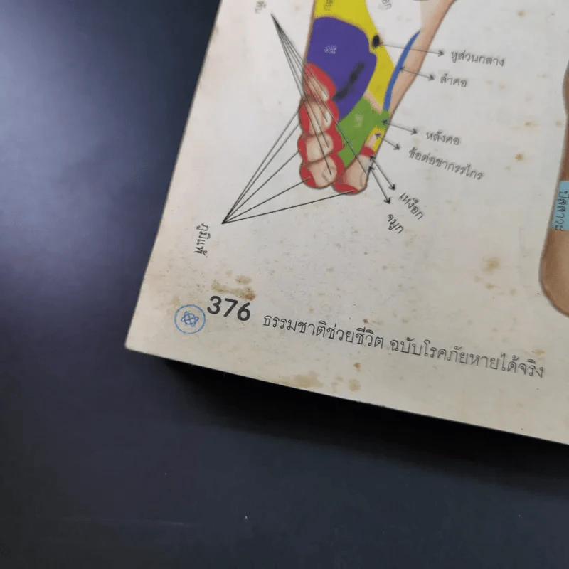 ธรรมชาติช่วยชีวิต ฉบับโรคภัยหายได้จริง - Dr.Tom Wu รูปที่ 21
