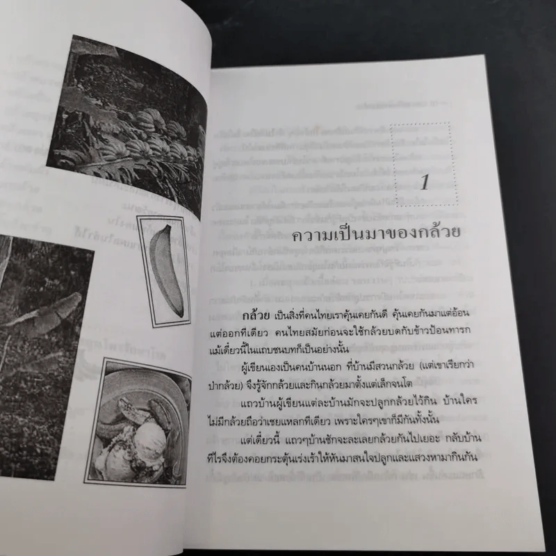กล้วย - อภิสิทธิ์ วิริยานนท์ รูปที่ 14