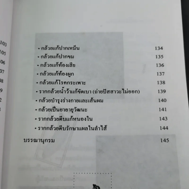 กล้วย - อภิสิทธิ์ วิริยานนท์ รูปที่ 13