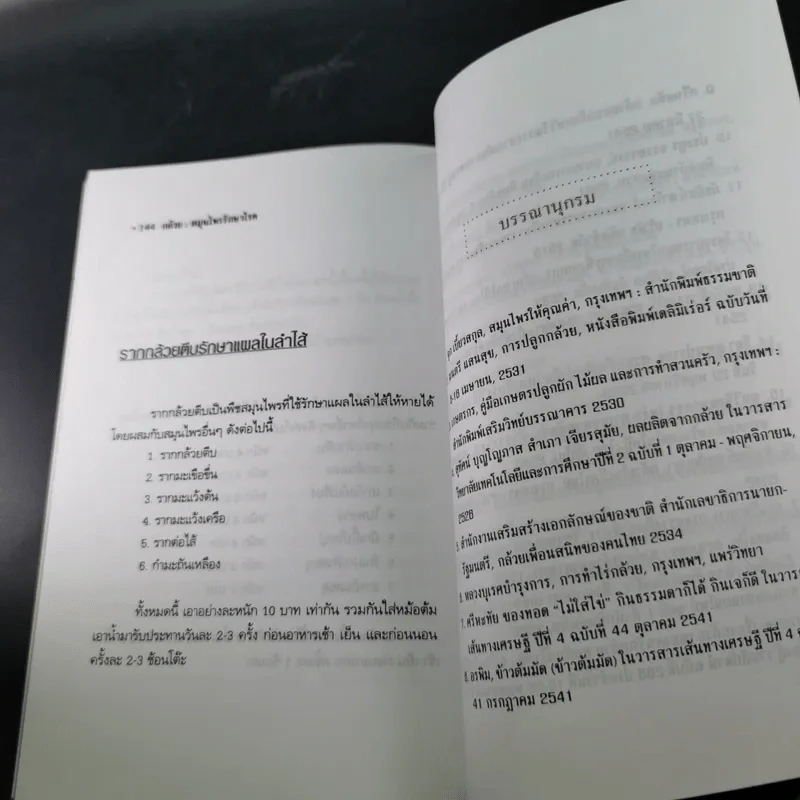 กล้วย - อภิสิทธิ์ วิริยานนท์ รูปที่ 17