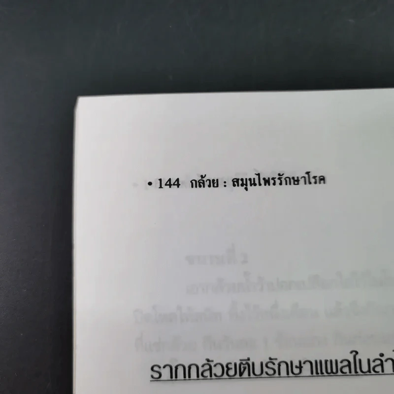 กล้วย - อภิสิทธิ์ วิริยานนท์ รูปที่ 18