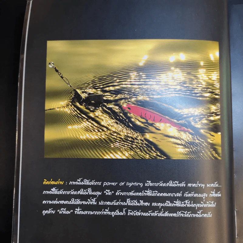 Basic Dramatic Photo for Beginner พื้นฐานการถ่ายภาพมีชีวิตเชิงปฏิบัติ - ไม้หลัก รูปที่ 15