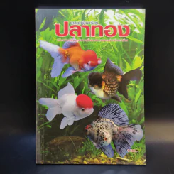 ครบเครื่องเรื่องปลาทอง รูปที่ 1