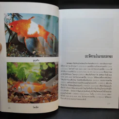 คู่มือการเลี้ยงปลาทอง - สุรศักดิ์ วงศ์กิตติเวช รูปที่ 14