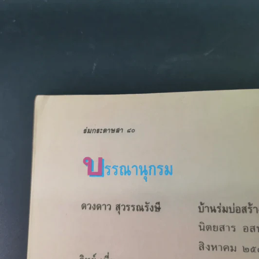 ร่มกระดาษสา - วลัยลักษณ์ ทรงศิริ รูปที่ 15