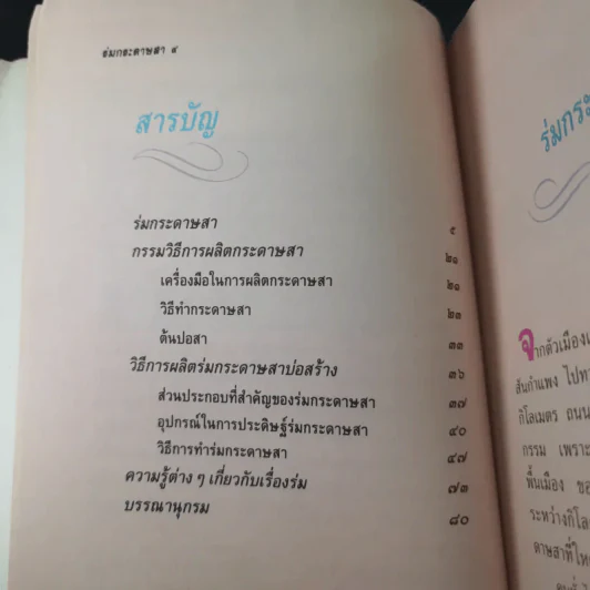 ร่มกระดาษสา - วลัยลักษณ์ ทรงศิริ รูปที่ 10