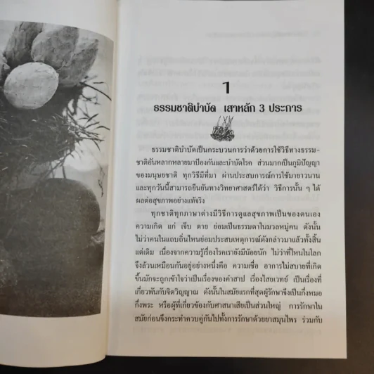 ผักเม็ด คลอโรฟีลล์เข้มข้น จากวีทกราสและอัลฟัลฟา - วิสัย วงศ์สายปิ่น รูปที่ 12