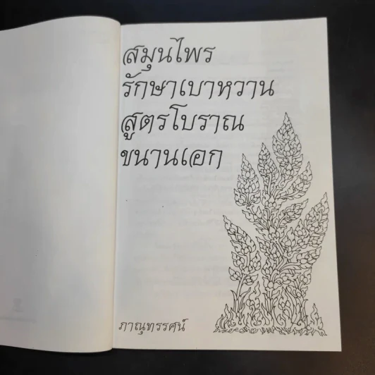 สมุนไพรรักษาเบาหวาน สูตรโบราณขนานเอก - ภาณุทรรศน์ รูปที่ 8