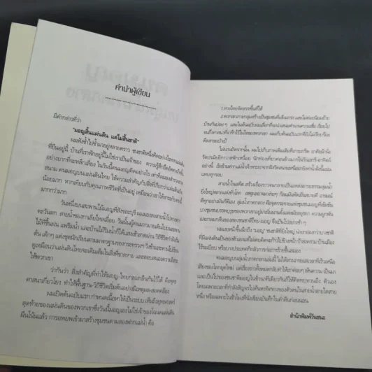 คนมอญ บนลุ่มน้ำภาคกลาง - ศรัทธา ลาภวัฒนเจริญ รูปที่ 10