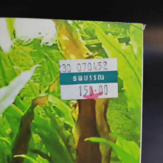 ครบเครื่องเรื่องปลาทอง รูปที่ 13