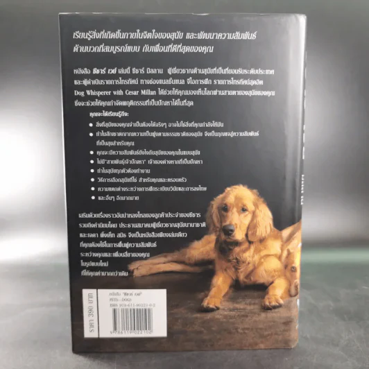 ซีซาร์ เวย์ - ซีซาร์ มิลลานกับเมลิซซ่า โจ เพลเทียร์ รูปที่ 2