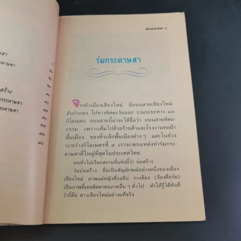 ร่มกระดาษสา - วลัยลักษณ์ ทรงศิริ รูปที่ 11