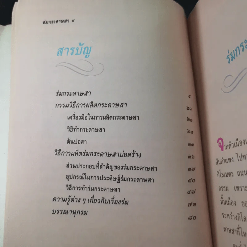 ร่มกระดาษสา - วลัยลักษณ์ ทรงศิริ รูปที่ 10