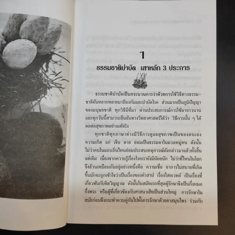 ผักเม็ด คลอโรฟีลล์เข้มข้น จากวีทกราสและอัลฟัลฟา - วิสัย วงศ์สายปิ่น รูปที่ 12