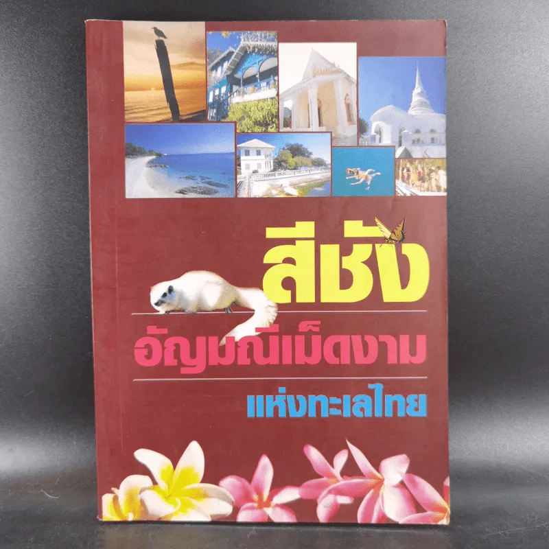 สีชัง อัญมณีเม็ดงามแห่งทะเลไทย รูปที่ 1