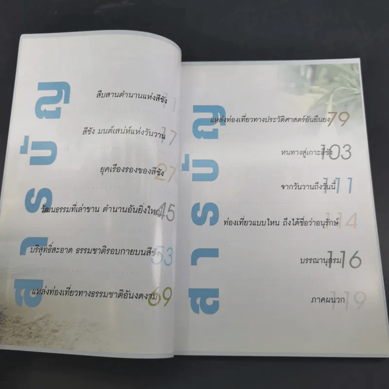 สีชัง อัญมณีเม็ดงามแห่งทะเลไทย รูปที่ 8