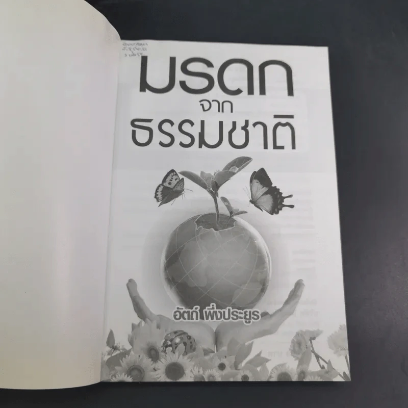 มรดกจากธรรมชาติ - อัตถ์ พึ่งประยูร รูปที่ 8