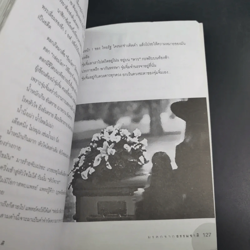 มรดกจากธรรมชาติ - อัตถ์ พึ่งประยูร รูปที่ 18