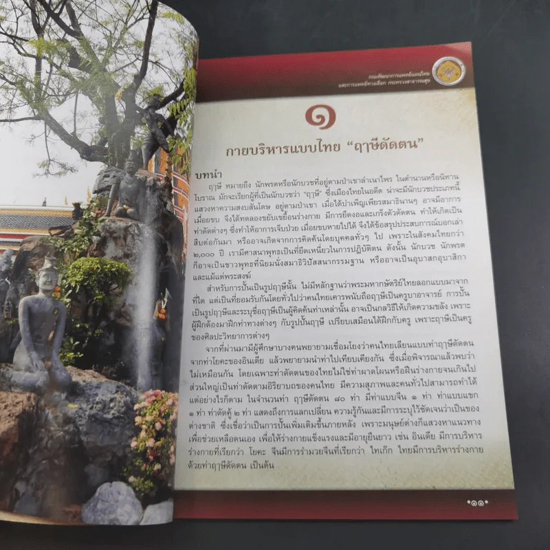 ฤาษีดัดตน ขยับกาย สบายชีวี ด้วยกายบริหารแบบไทย ฤาษีดัดตนพื้นฐาน 15 ท่า รูปที่ 7