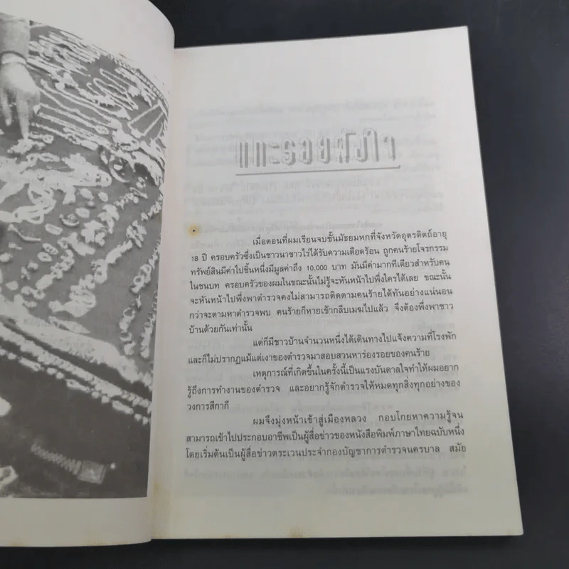แกะรอยเพชรซาอุ - พิฆาต 20 รูปที่ 11