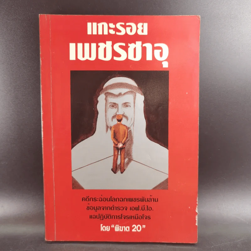 แกะรอยเพชรซาอุ - พิฆาต 20 รูปที่ 1
