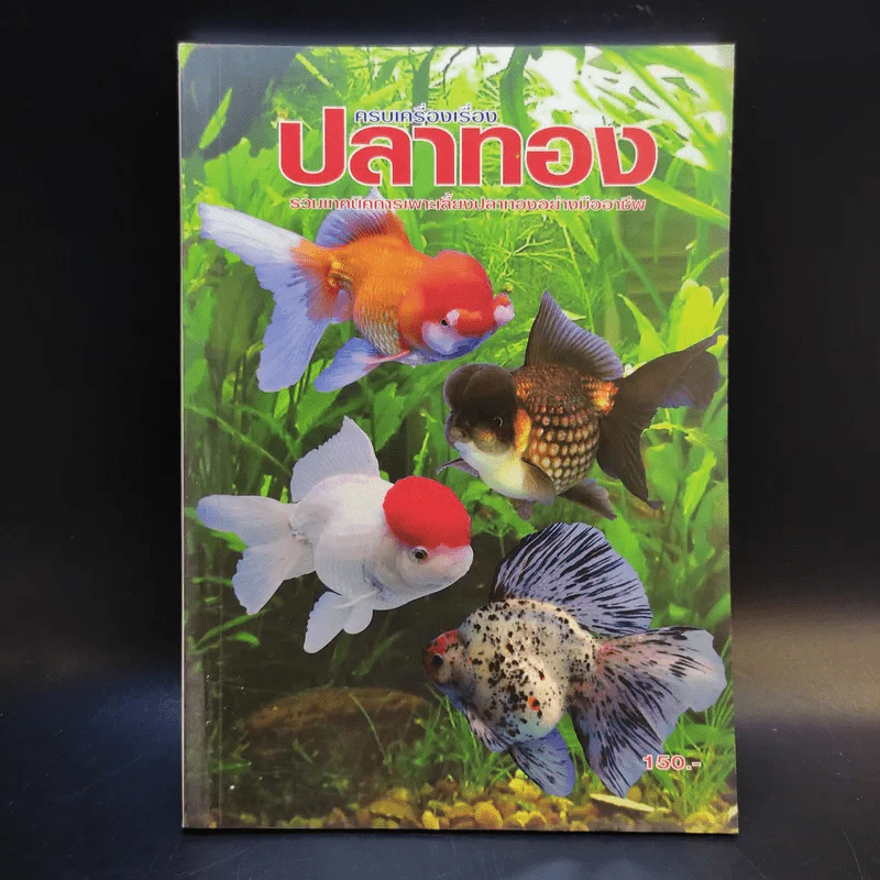ครบเครื่องเรื่องปลาทอง รูปที่ 1