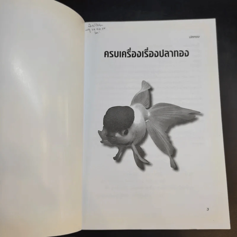 ครบเครื่องเรื่องปลาทอง รูปที่ 8