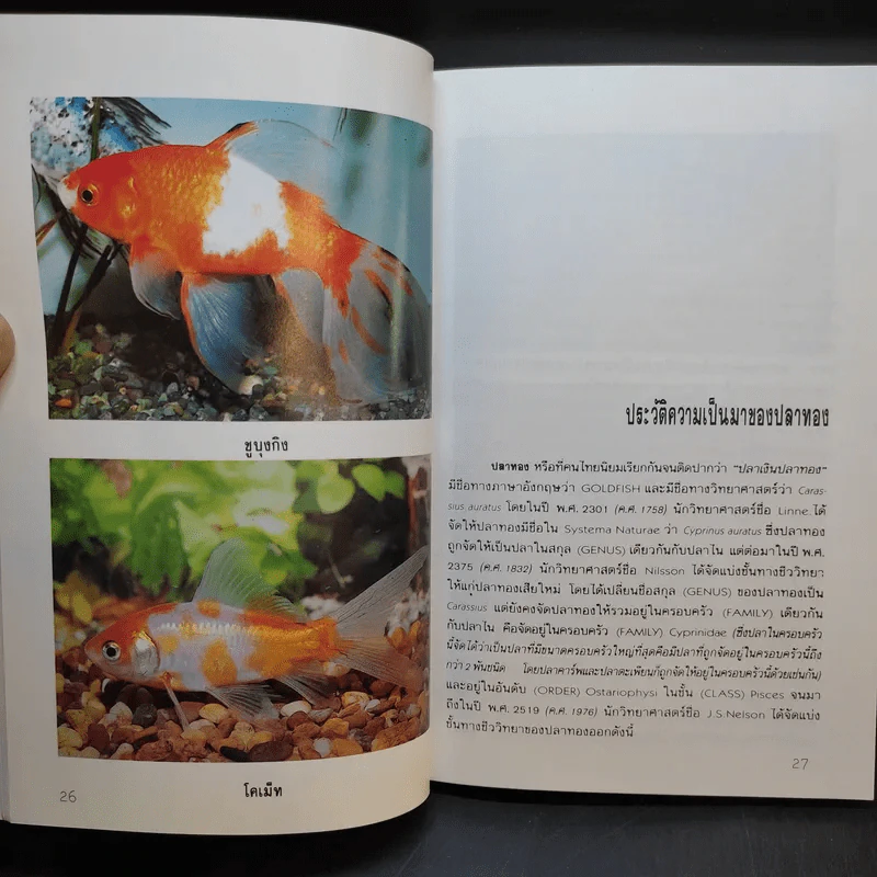 คู่มือการเลี้ยงปลาทอง - สุรศักดิ์ วงศ์กิตติเวช รูปที่ 14