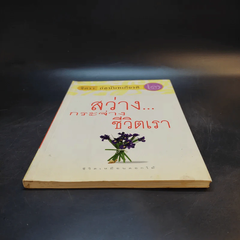 สว่างกระจ่างชีวิตเรา - จิตรา ก่อนันทเกียรติ รูปที่ 4