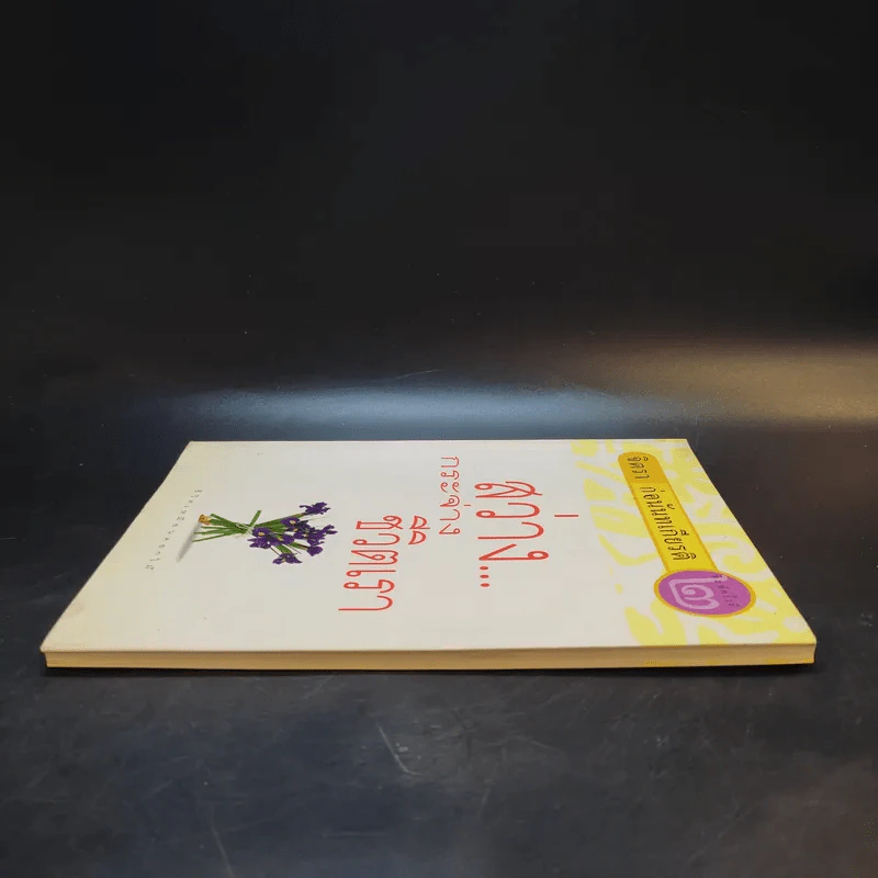 สว่างกระจ่างชีวิตเรา - จิตรา ก่อนันทเกียรติ รูปที่ 5