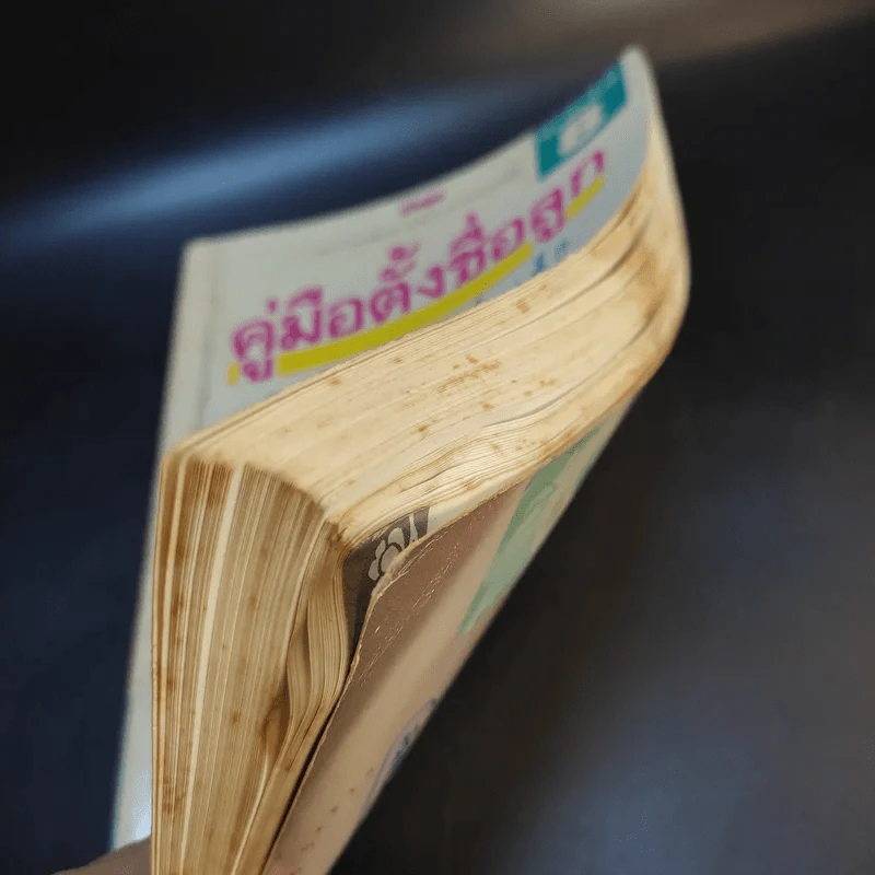 คู่มือตั้งชื่อลูก - เสฐียรพงษ์ วรรณปก รูปที่ 16