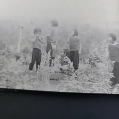 หลักธรรมทำตามรอยพระยุคลบาท - ดร.สุเมธ ตันติเวชกุล รูปที่ 15