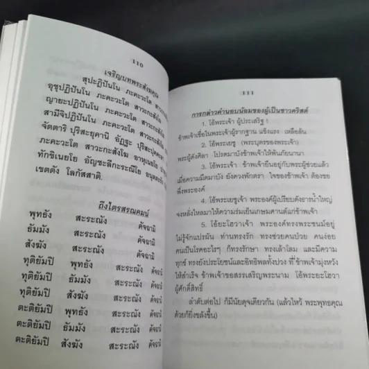 12 วิธีพิชิตมะเร็ง - อ.ชาญชัย บุญเฮ้า รูปที่ 11