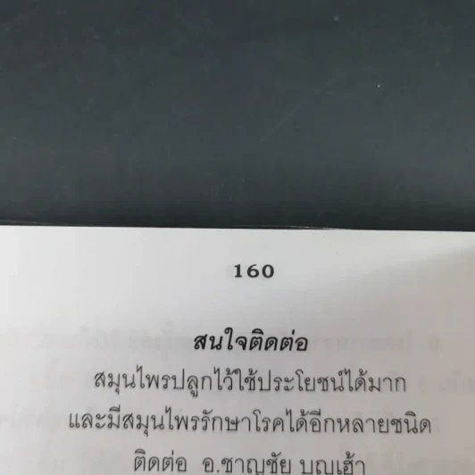 12 วิธีพิชิตมะเร็ง - อ.ชาญชัย บุญเฮ้า รูปที่ 13